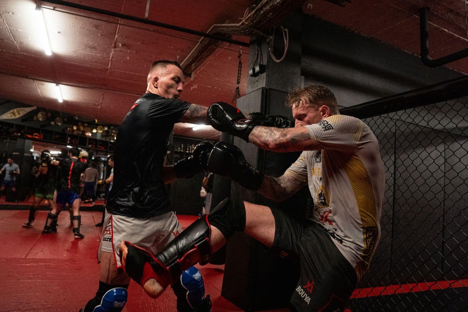 MMA-Aufnahme von mojo (8)