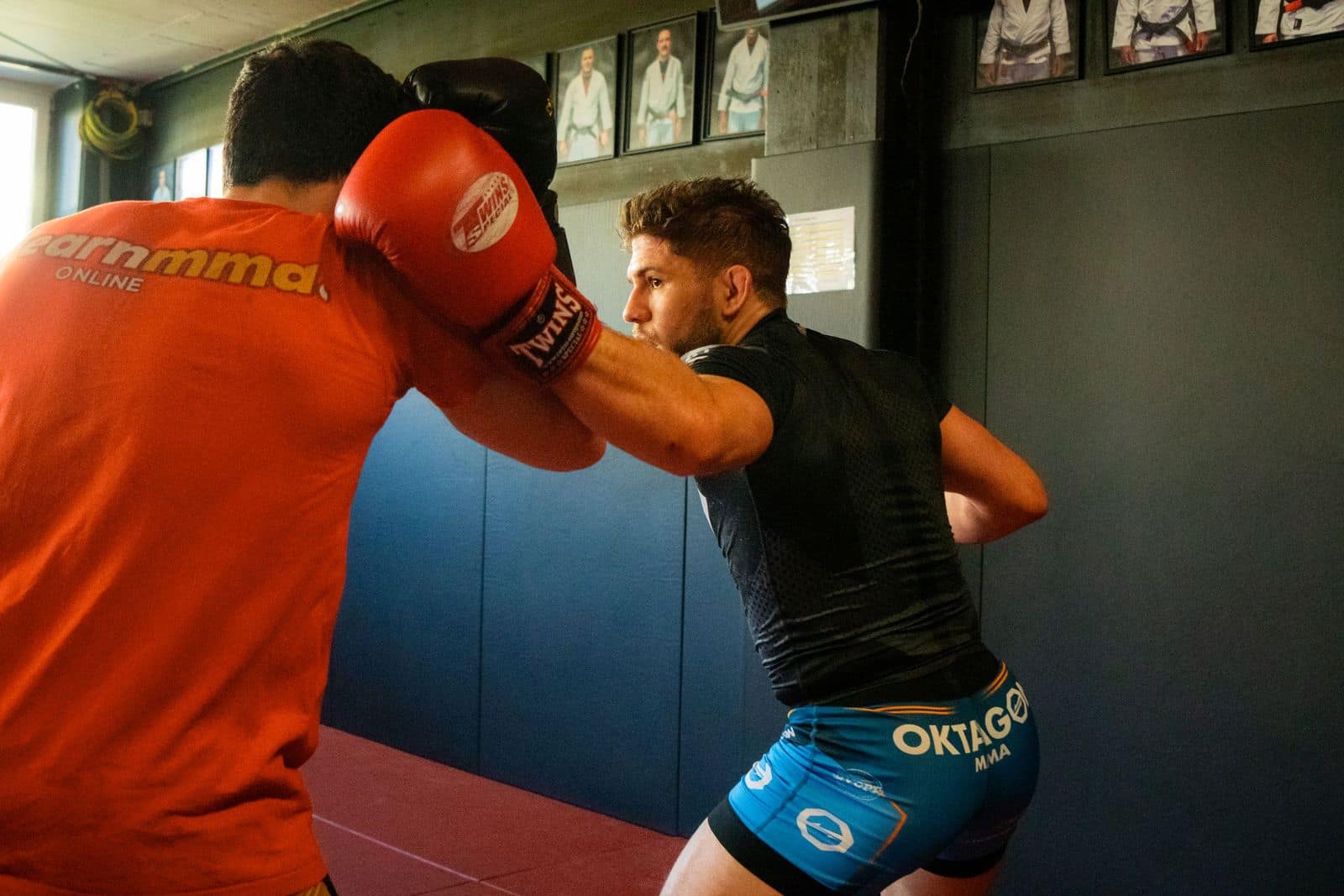 MMA-Aufnahme von mojo (23)