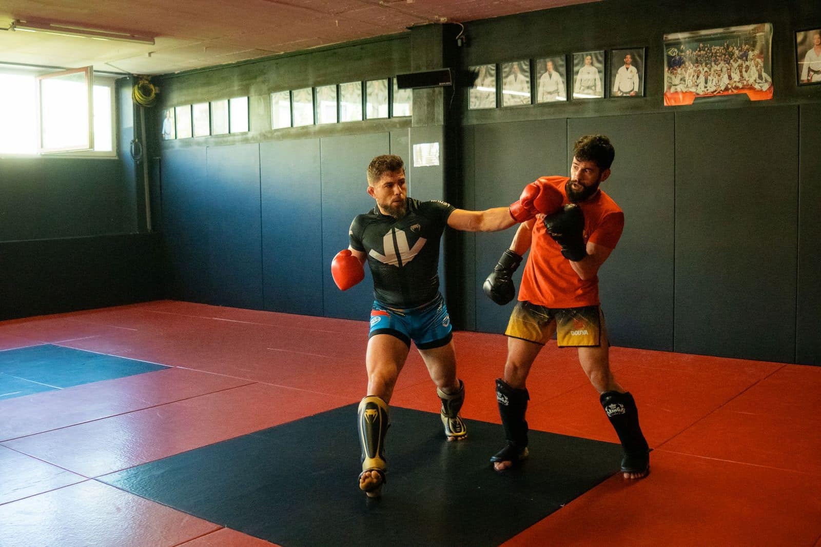 MMA-Aufnahme von mojo (24)