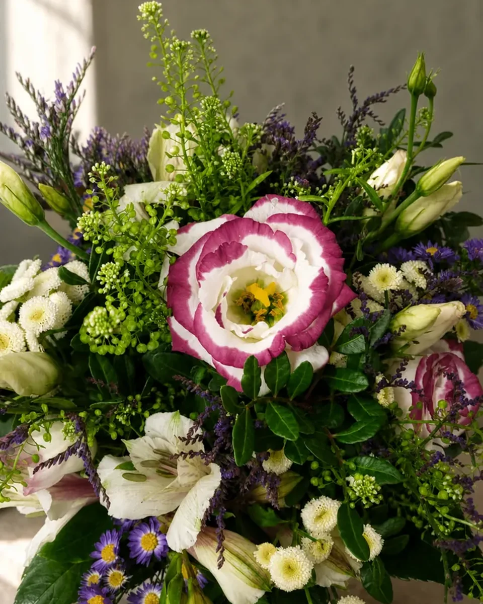 Farbenflor — Pusteblume Halle (Saale)